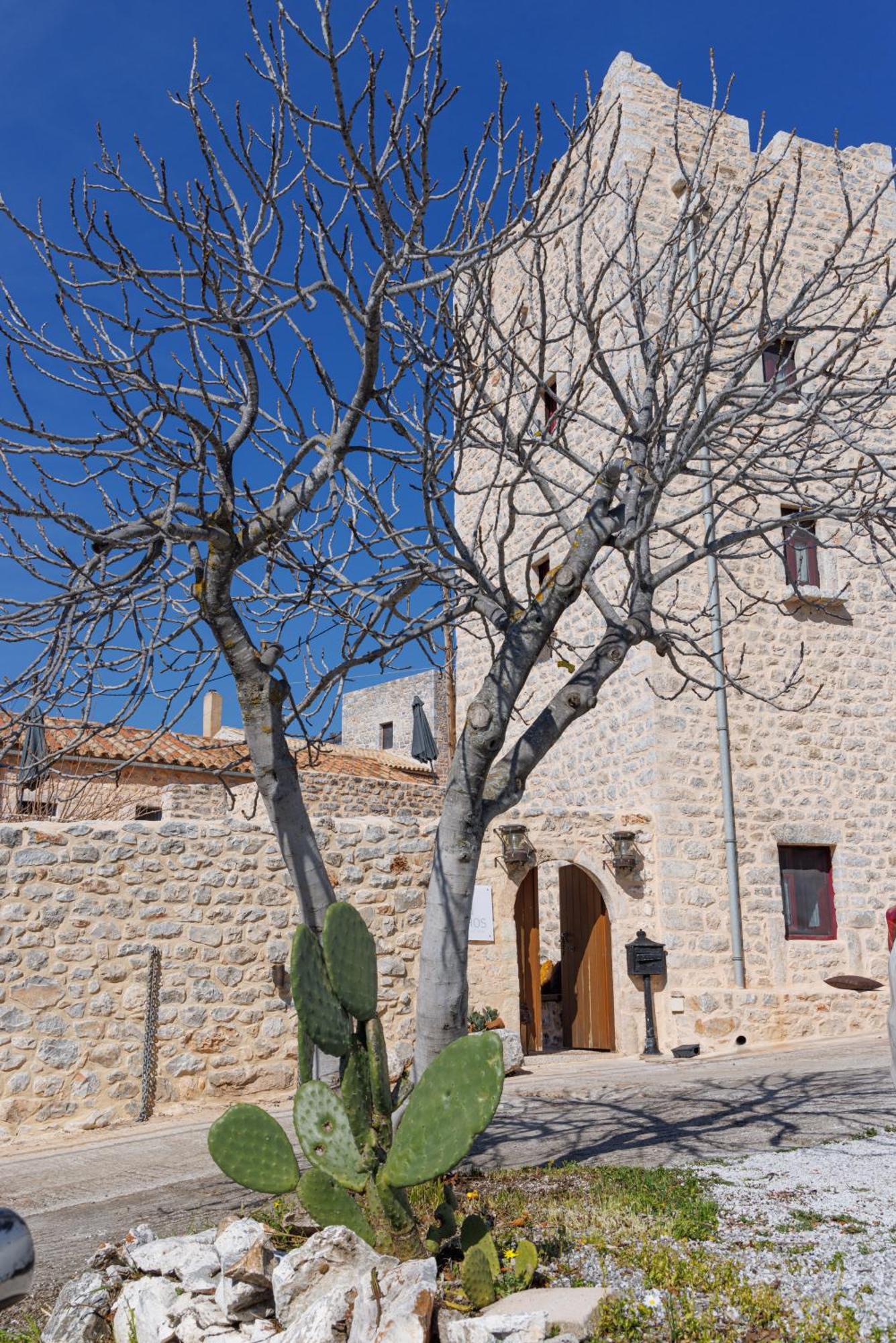 Lithos Traditional Tower Apartment Areopoli